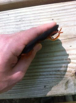 GSI Outdoors Ultralight Java Drip 20 GSI Outdoors Ultralight Java Drip -Professional Outdoor Camping Equipment Store IMG 3119